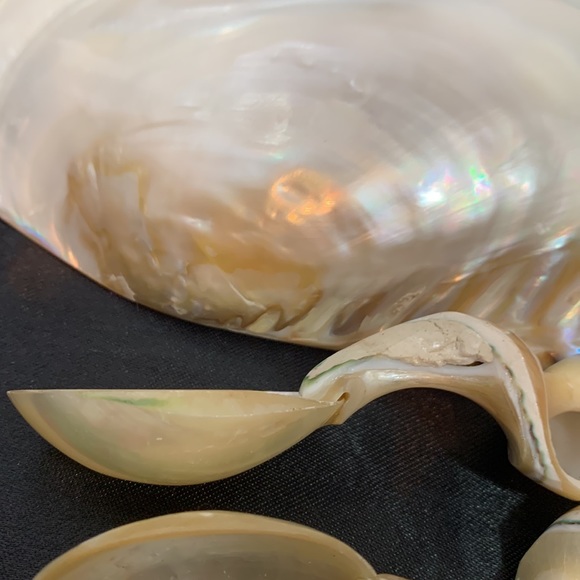 Polished Pearlized Large Clamshell Serving Dish and 4 Conch & Clamshell Spoon - Picture 3 of 12
